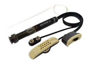 L.R.Baggs Anthem SL �A�R�p�s�b�N�A�b�v �G���A�[���o�b�O�X