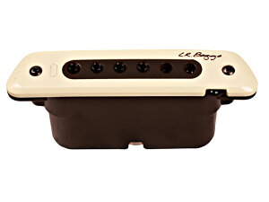 L.R.Baggs M80 �T�E���h�z�[�� �A�R�p�s�b�N�A�b�v �G���A�[���o�b�O�X