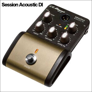 L.R.Baggs Session Acoustic DI �Z�b�V�����E�A�R�[�X�e�B�b�NDI BOX �G���A�[���o�b�O�X