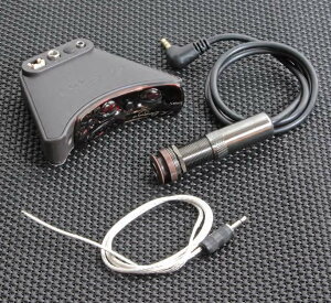 L.R.Baggs Session VTC �A�R�[�X�e�B�b�N�M�^�[�p�s�b�N�A�b�v�q�G���A�[���o�b�O�X�r