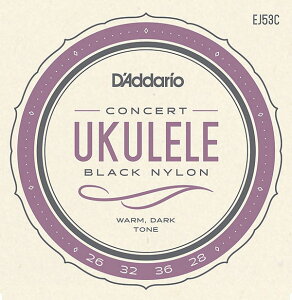 D'Addario EN/EJ53C Pro-Arte Rectified Ukulele RT[gq__Ir