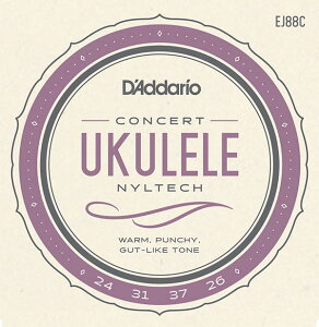 D'Addario EN EJ88C iCebN/RT[gpq__Ir