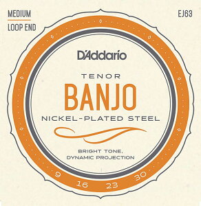 D'Addario �o���W���[��/EJ63 �e�i�[ Banjo/Nickel �_�_���I