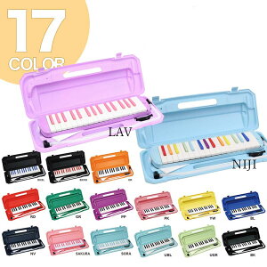 17FIׂ KC Ճn[jJ fBsAm P3001-32Kqh~t@\V[trqL[cr