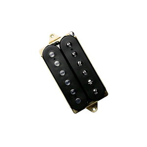 DiMarzio DP192 Humbucker/Air Zone sbNAbvqfB}WIr