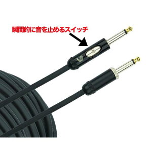 D'Addario P[u PW-AMSK-20i6.1mj American Stage Kill Switch Cableq__Ir