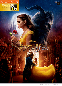 qyrqYMMrSTAGEA fBYj[ 6`5Vol.5 Ɩb