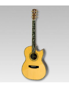 ASTURIAS アコースティック TREE OF LIFE〈アストリアス〉