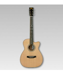 ASTURIAS アコースティック SOLO STANDARD/S〈アストリアス〉
