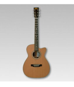 ASTURIAS アコースティック SOLO STANDARD/C〈アストリアス〉