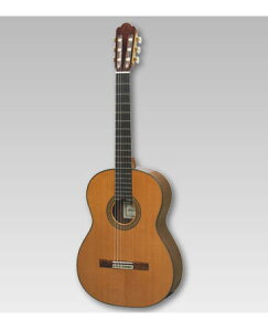 ASTURIAS NVbN CUSTOM/CijqAXgAX/JX^r