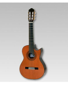 ASTURIAS NVbN ALT/CUTAWAYijqAXgAX/AgM^[ Jb^EGCr