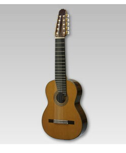 ASTURIAS NVbN 10-STRINGqAXgAX/10M^[r