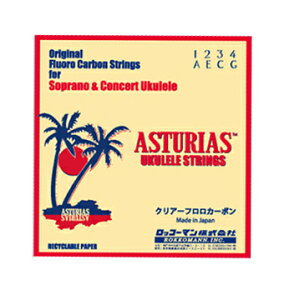 ASTURIAS \vmERT[g EN itJ[{jqAXgAXr