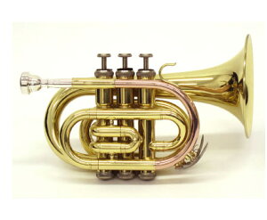 J.Michael |Pbggybg TR-350PLqJ}CPr