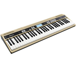 Roland JUSTY HK-100 [n[j[&YKpL[{[h]q[hr