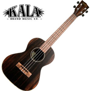 KALA KAEBY-T-WBAG20_06 Ebony Tenor Ukulele w/bag ei[ENqJr