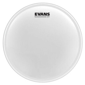 EVANS B14UV1 14" UV1 CTD コーテッド スネアヘッド〈エヴァンス〉