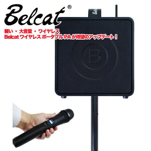 Belcat BWPA-30W (`lIΉf) ȈՌ^PAVXeqxLbgr