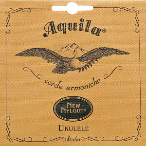 Aquila AQ-TR 10U@ei[pZbg ENqAL[r
