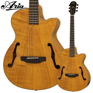 �y5/3�`6 P5�{or10�{!(�ΏۊO����)�zARIA FET-F2 STBR (Stained Brown) �G���A�R �A���A
