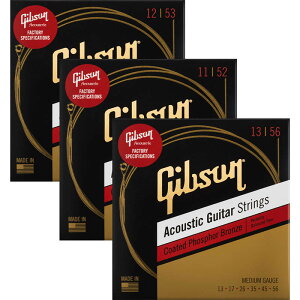 Gibson SAG-CPB Coated Phosphor Bronze AR[XeBbNM^[ qMu\r