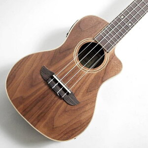 Ortega Guitars RUWN-CE HORIZON Series RT[gEN sbNAbvځqIeKr