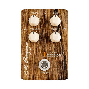 L.R.Baggs ALIGN SERIES SESSION �T�`�����[�V�������R���vEQ �G���A�[���o�b�O�X