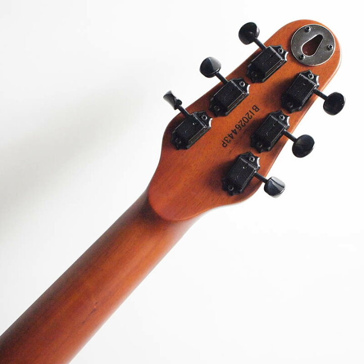 楽天市場】ESP Charプロデュース BambooInn-C バンブーイン : 楽器de元気