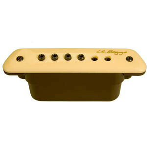 L.R.Baggs M1 Passive �}�O�l�e�B�b�N�s�b�N�A�b�v �G���A�[���o�b�O�X