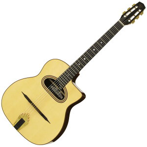 ARIA MM-100/D w/Hardcase }JtFX^CAR[XeBbNM^[ qAAr