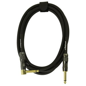 ARIA STUDIO PERFORMER M^[P[u ASG-20SP (20ft/6m, S/L)qAAr
