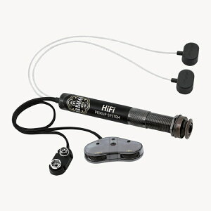 L.R.Baggs HiFi �A�R�p�s�b�N�A�b�v �G���A�[���o�b�O�X