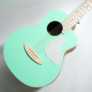 aNueNue aNN-MC10-IG Ice Green ~jAR[XeBbNM^[qAkGkGr