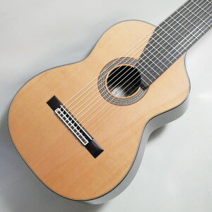 ASTURIAS 11-STRING NVbNM^[qAXgAX/11M^[r