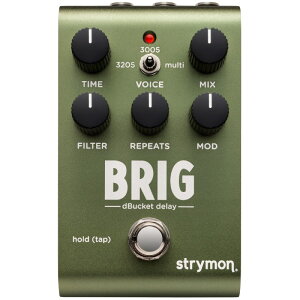 strymon BRIG�i�u���b�O�j�f�B���C�q�X�g���C�����r