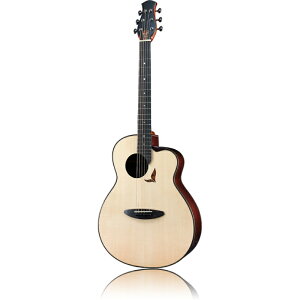 aNueNue Future Series aNN-LS700 AR[XeBbNM^[qAkGkGr