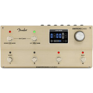 �y2/1 P10�{�I(�ꕔ�ΏۊO)�zFender Switchboard Effects Operator �X�C�b�`���[ �t�F���_�[