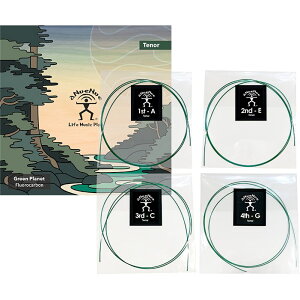 aNueNue aNN-GPT Green Planet ei[EN qAkGkGr