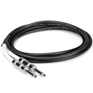 HOSA GTR-210 S/SvO M^[P[u 3mqzTr