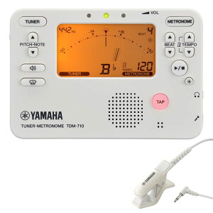 YAMAHA TDM-710IV+TM-40IV `[i[gm[E}CNZbgq}nr