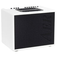 AER Compact60/4 WSF アコーステックアンプ