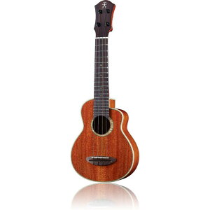 aNueNue aNN-US110 All solid South American Mahogany \vmENqAkGkGr