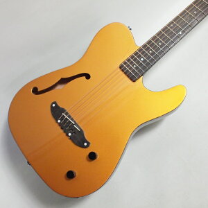 SCHECTER OL-FL-P/GO GARqVFN^[r