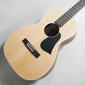 Singer Acoustic Imagine Series P01 AR[XeBbNM^[qVK[r
