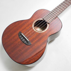 aNueNue aNN-AMM3 Africa Mahogany3 ei[EN }zKj[qAkGkGr