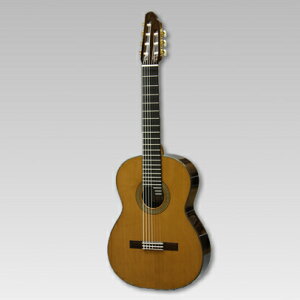 ASTURIAS/NVbN 7-STRINGqAXgAX/7M^[r