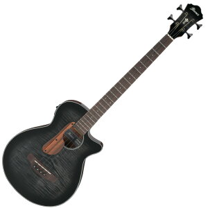 Ibanez AEGB25E-TKH GARx[XqACoj[Yr