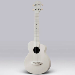 aNueNue Lyra LFG-WG Warm Grey t@Co[OX RT[gENqAkGkGr