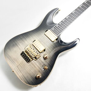 EDWARDS E-HORIZON-CTM 50TH Ash Black Burst GLM^[ 3.74kg Gh[Y